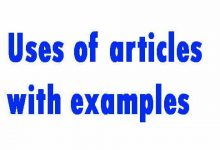Uses of articles with examples