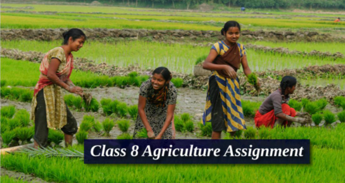 ৮ম শ্রেণী কৃষি শিক্ষাঃ 8th class agriculture question paper
